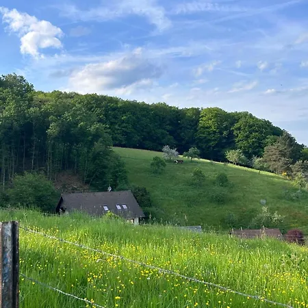 Fewo-zur-eifelgracht Sinspelt