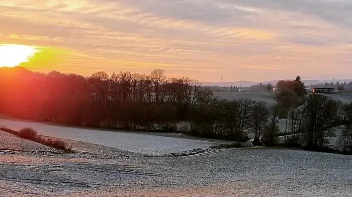 Fewo-zur-eifelgracht Sinspelt