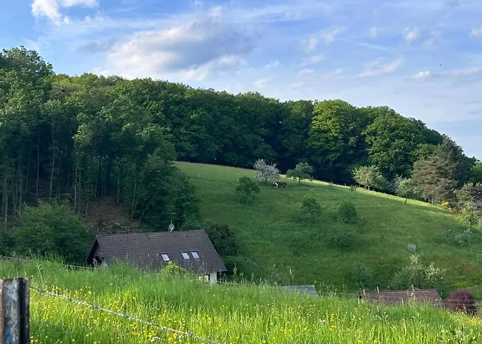 Fewo-zur-eifelgracht Sinspelt